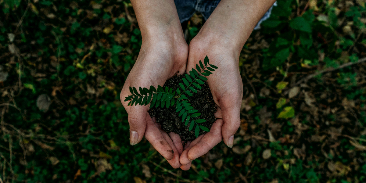 Environmental Sustainability Environmental Sustainability