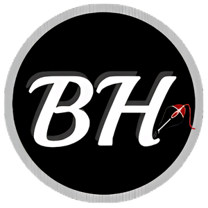 Blogging Heros