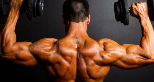 muscle building