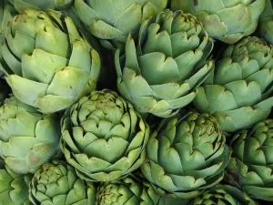 Artichokes