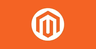Magneto Data Entry Services