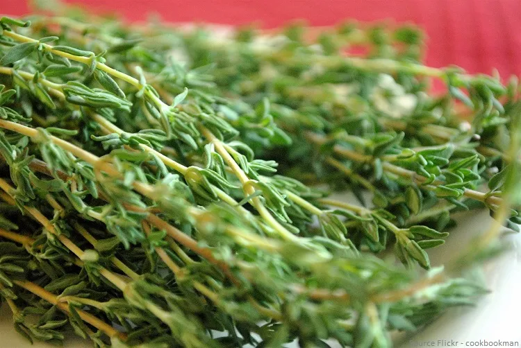 herbs