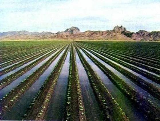 Surface Irrigation