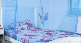Mosquito Nets