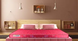 Rubberised Coir Mattress
