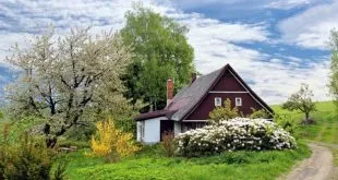 9 Tips on How You Can Improve Your Garden Instantly