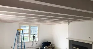 5 Reasons to Hire a Professional Painter for Your Space