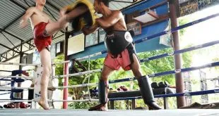 Holiday at a Muay Thai camp