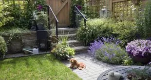 Maintain Your Landscaped Yard