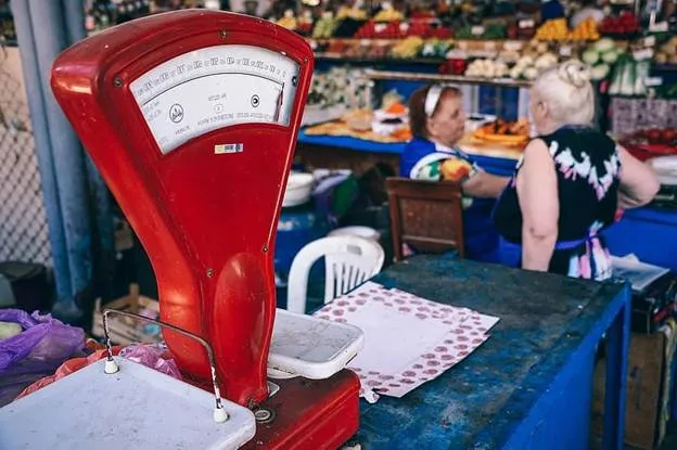 Bench and Floor Scales