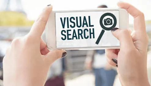 Visual Search