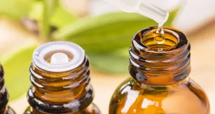 CBD Oil