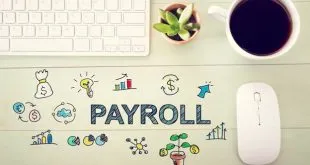 Understanding Employer Payroll Taxes
