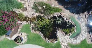Pond Liner