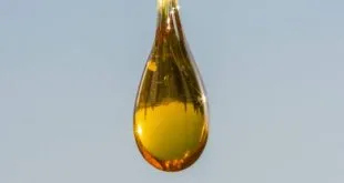 5 Things To Check Before You Buy Your CBD Oil