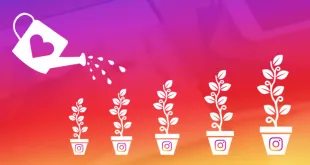 Instagram Growth Services