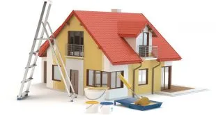 Home Renovation Essentials
