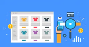 Ecommerce SEO
