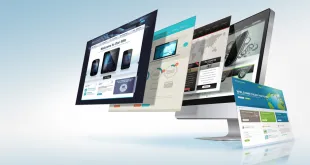Advantage of Professional Website Design