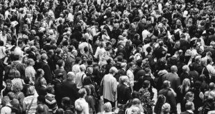 How to Stand Out as an Online Business