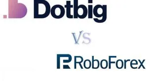 Comparison of DotBig and RoboForex brokers