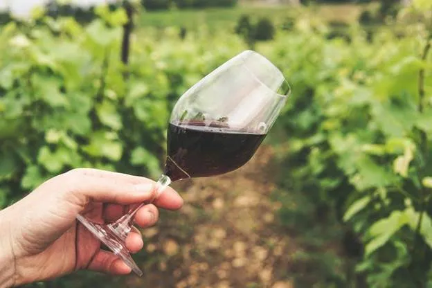 Make Homemade Wine