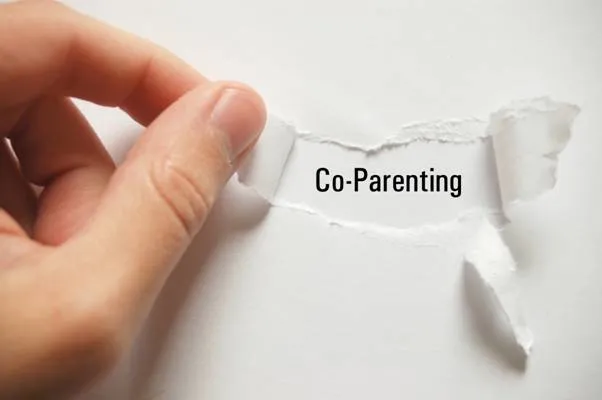 Parenting Plan
