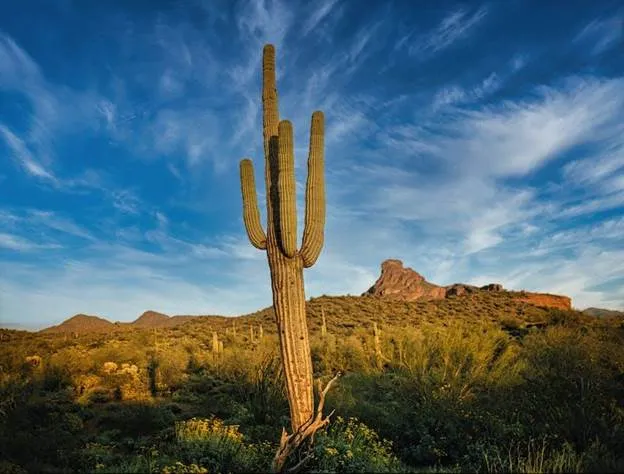 Moving to Arizona