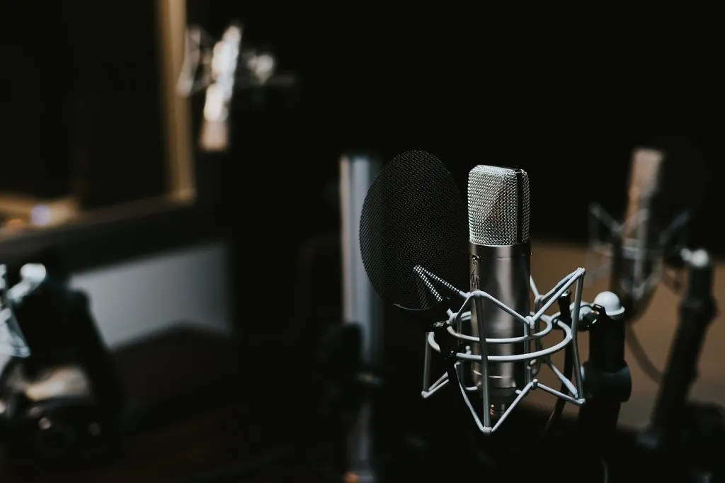 Recording Studio Indoors Mic