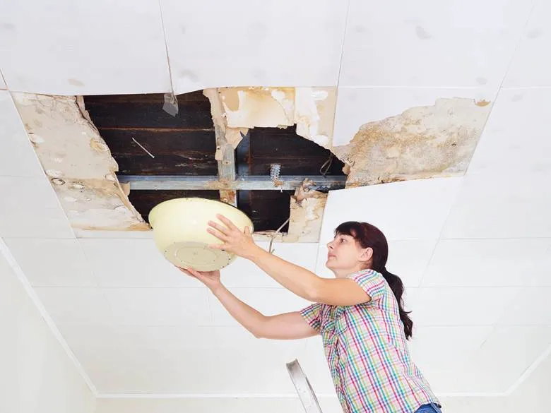 How to Spot Roof Leaks