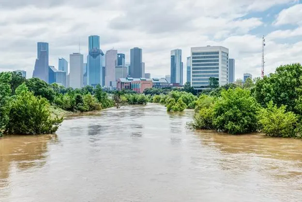 Real Estate Market in Houston