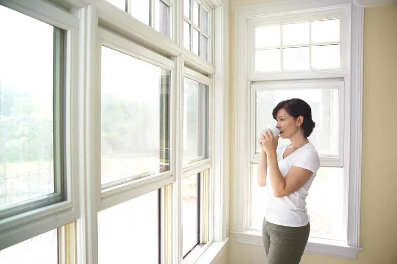 Insulation for Windows