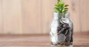 Investment