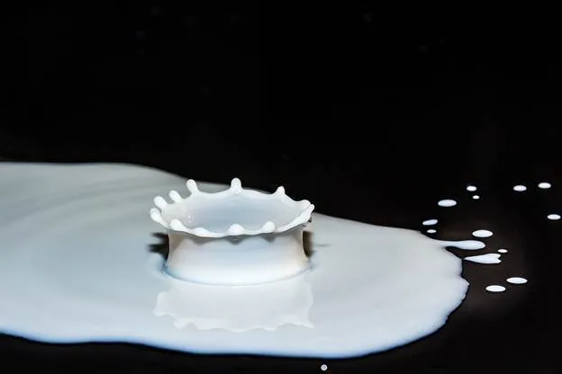 Fascinating Facts About Dairy