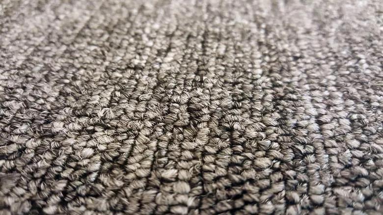 Before the Carpet Comes Out