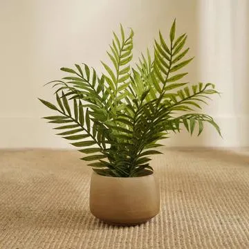 Greenery for the Mind
