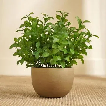 One Plant at a Time