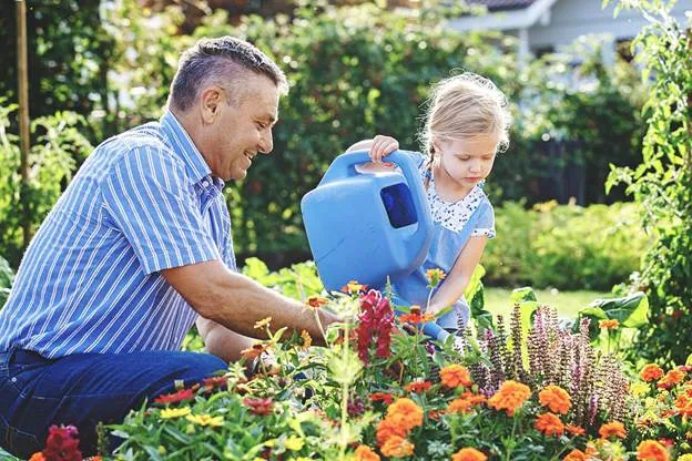 Thriving June Garden