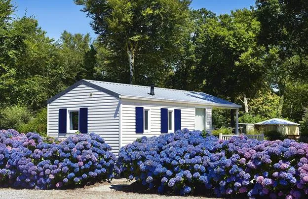 Mobile Home