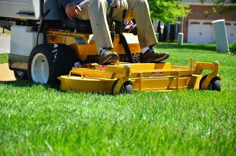 Lawn Restoration