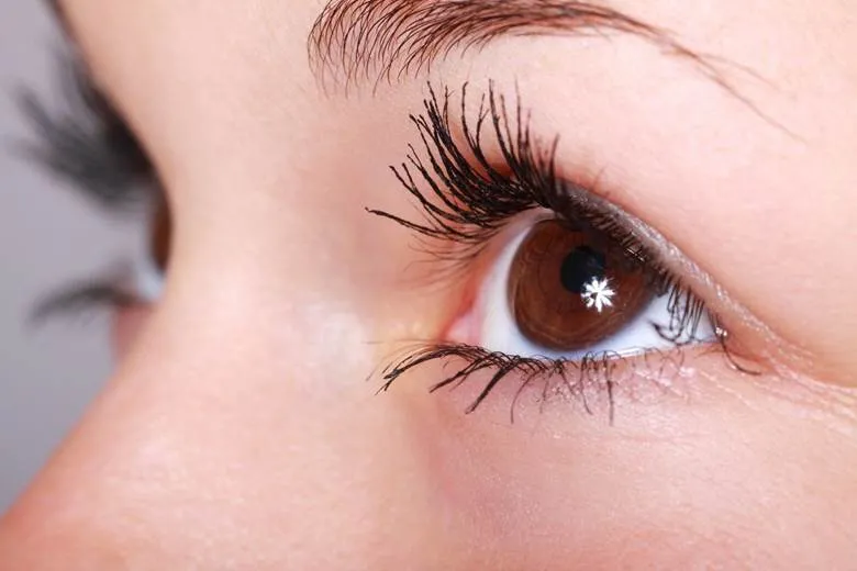 Eyelid