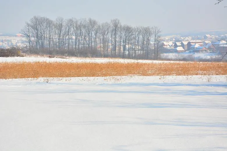 Winter Golf Apparel