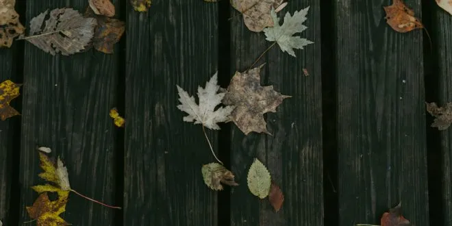 decking