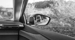 Peripheral Vision