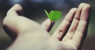 Personal Growth