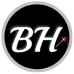 Blogging Heros